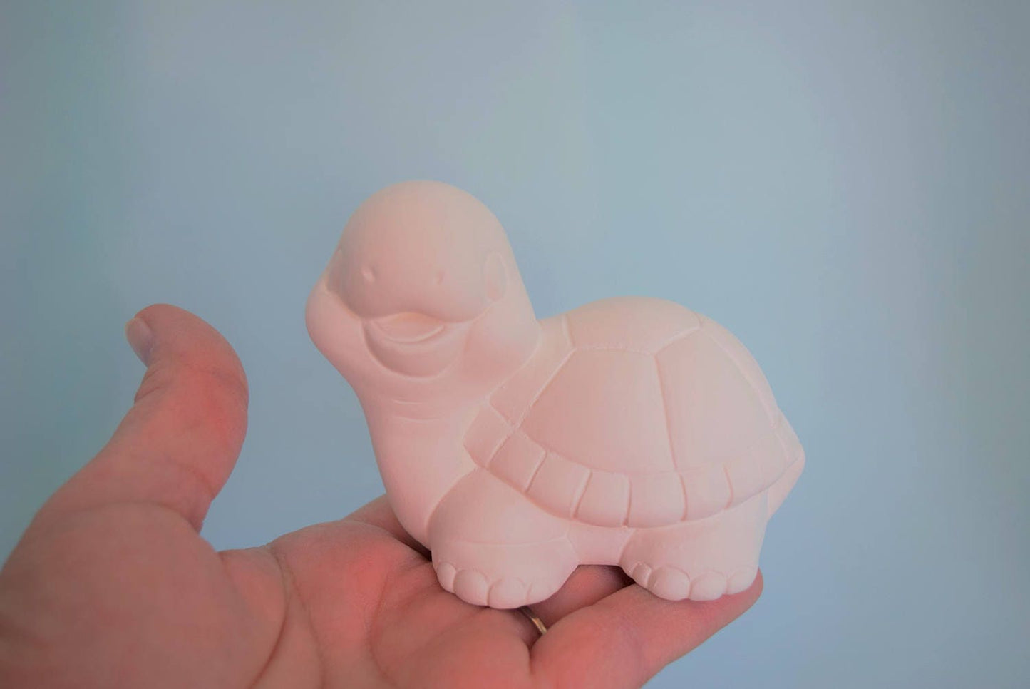 DIY Ceramic Baby Turtle Painting Kit - Unfinished Pottery Art Project for Kids & Adults