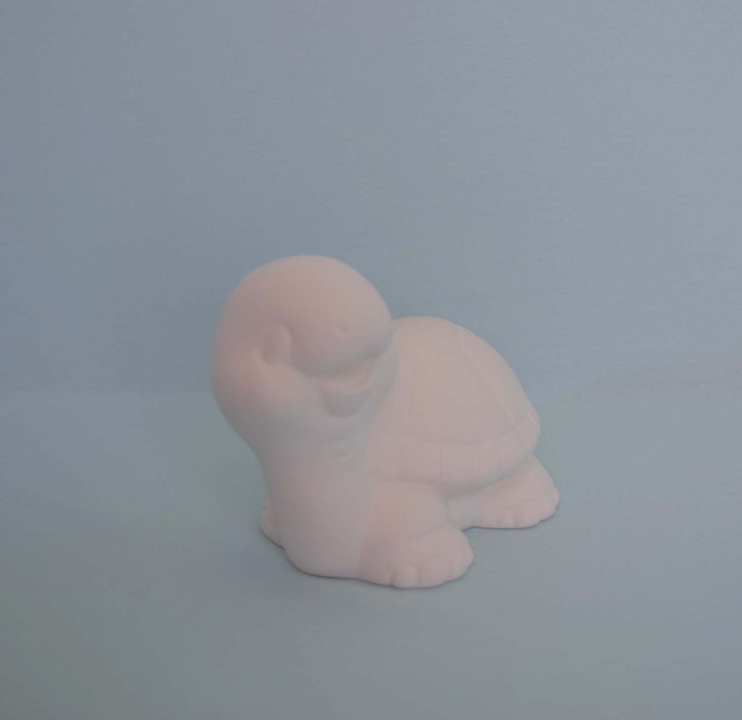 DIY Ceramic Baby Turtle Painting Kit - Unfinished Pottery Art Project for Kids & Adults
