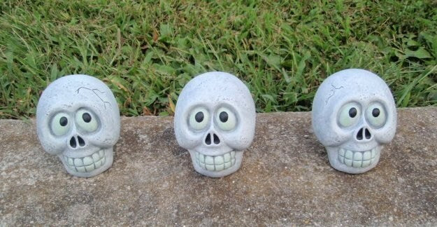 Smiling skull Halloween Decoration Happy Face with teeth grinning ghoul scary head