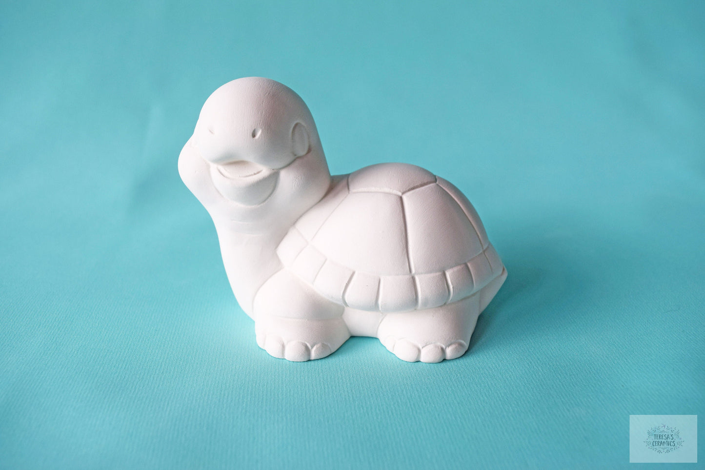 DIY Bisque Turtle Painting Kit: Creative Art Project Box for School, Home, or Parties