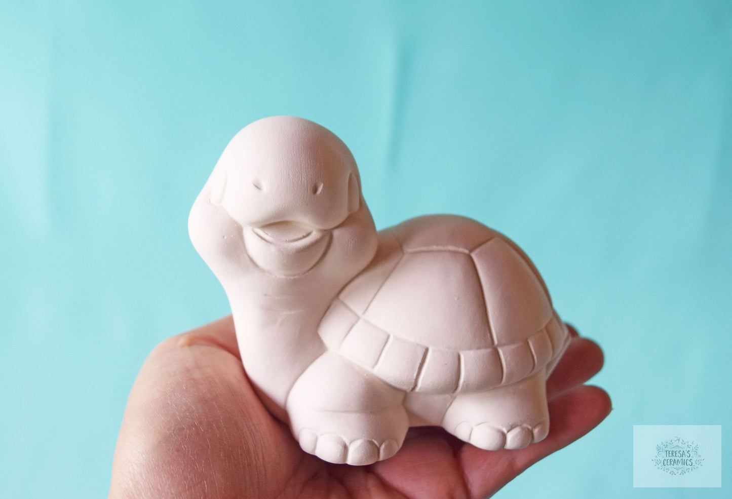 DIY Bisque Turtle Painting Kit: Creative Art Project Box for School, Home, or Parties
