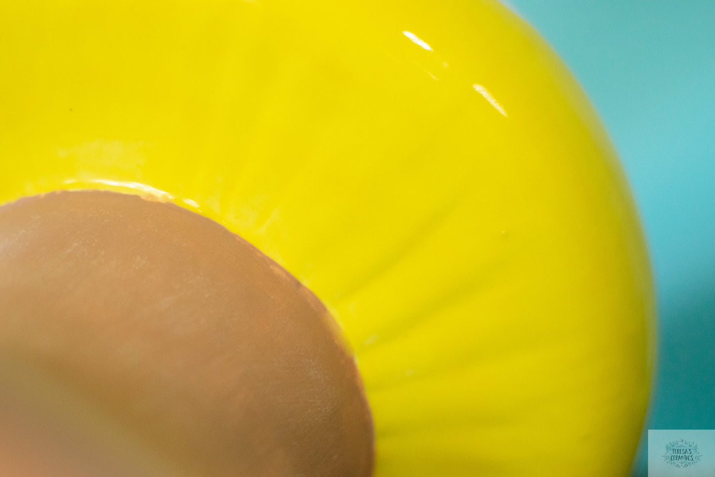 Jumbo Mushroom Art | Mushroom Garden Statues | Polka Dot Caps | Father's Day Gift Idea | Yard Art | Glazed Shroom Statue