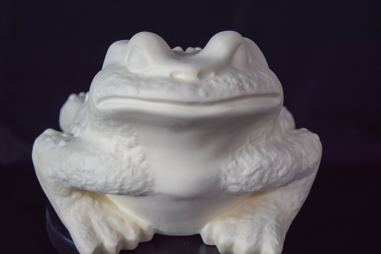 Large Unpainted Ceramic Toad Bisque - DIY Art Project, Garden Decor, Vintage Mold, Paint Party Kit