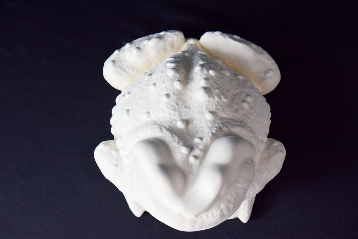 Large Unpainted Ceramic Toad Bisque - DIY Art Project, Garden Decor, Vintage Mold, Paint Party Kit