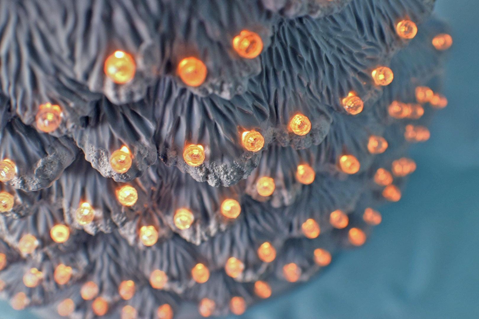 Snowy Christmas Tree | Large Ceramic Light | Windowsill Style - Teresa's Ceramics