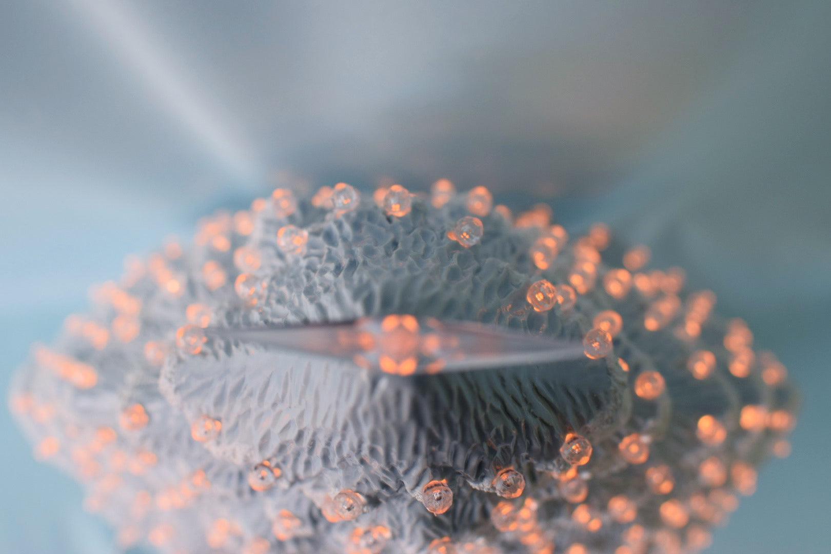 Snowy Christmas Tree | Large Ceramic Light | Windowsill Style - Teresa's Ceramics