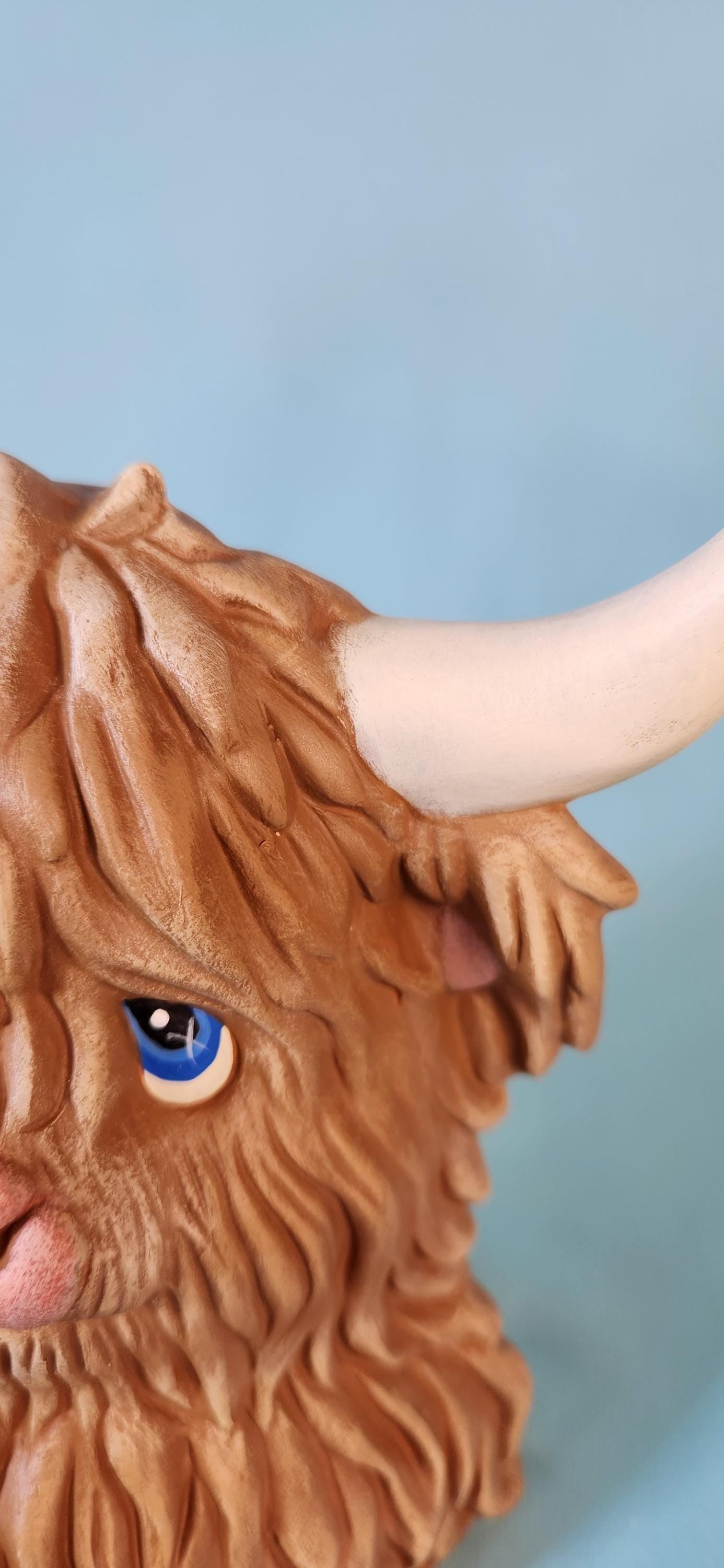 Beautiful Highland Christmas Cows