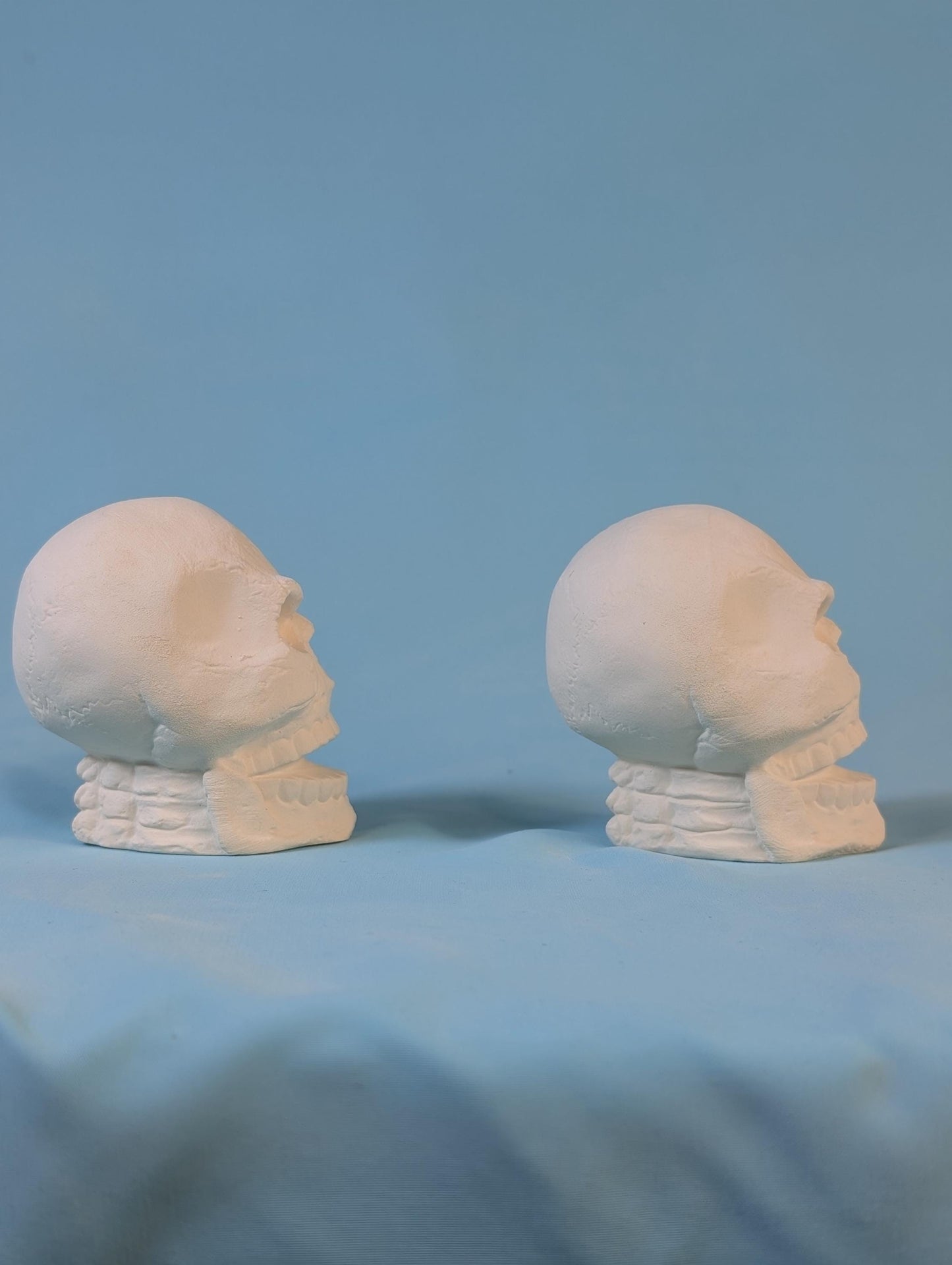 Paintable Cute Angry Skull Designs in Ceramic Bisque - DIY Art Project