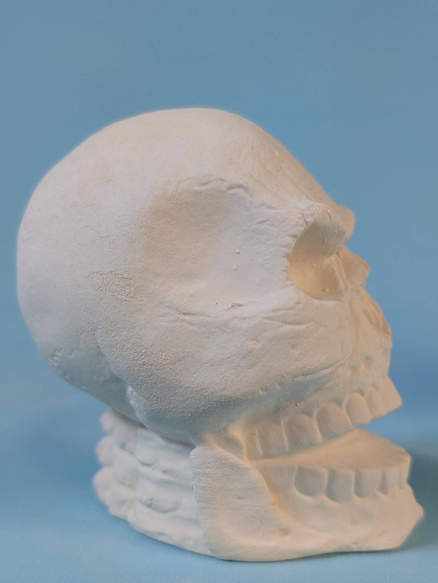 Paintable Cute Angry Skull Designs in Ceramic Bisque - DIY Art Project