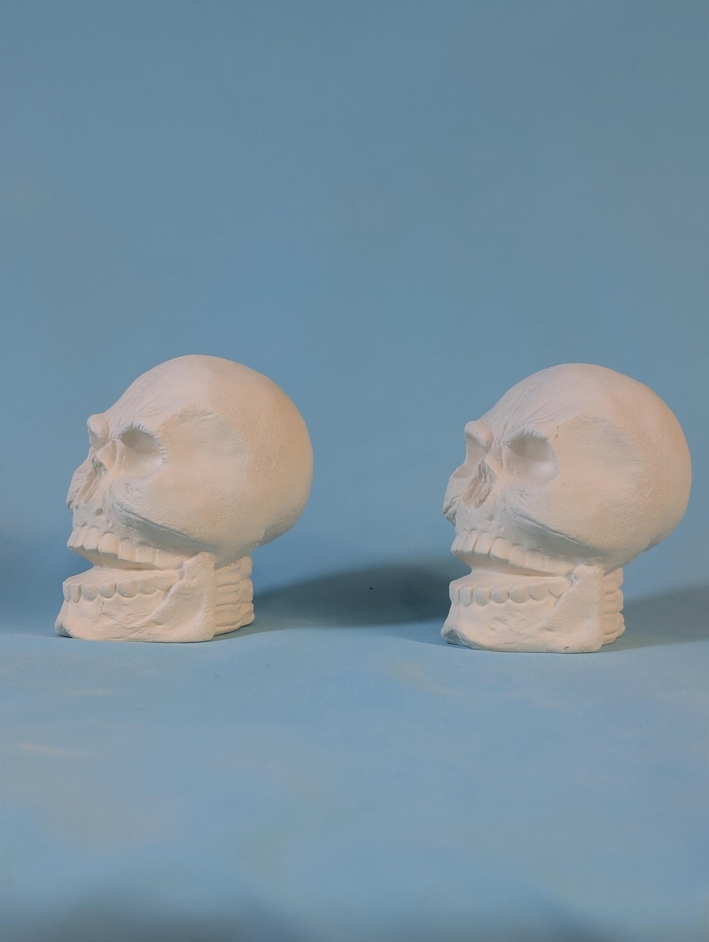 Paintable Cute Angry Skull Designs in Ceramic Bisque - DIY Art Project