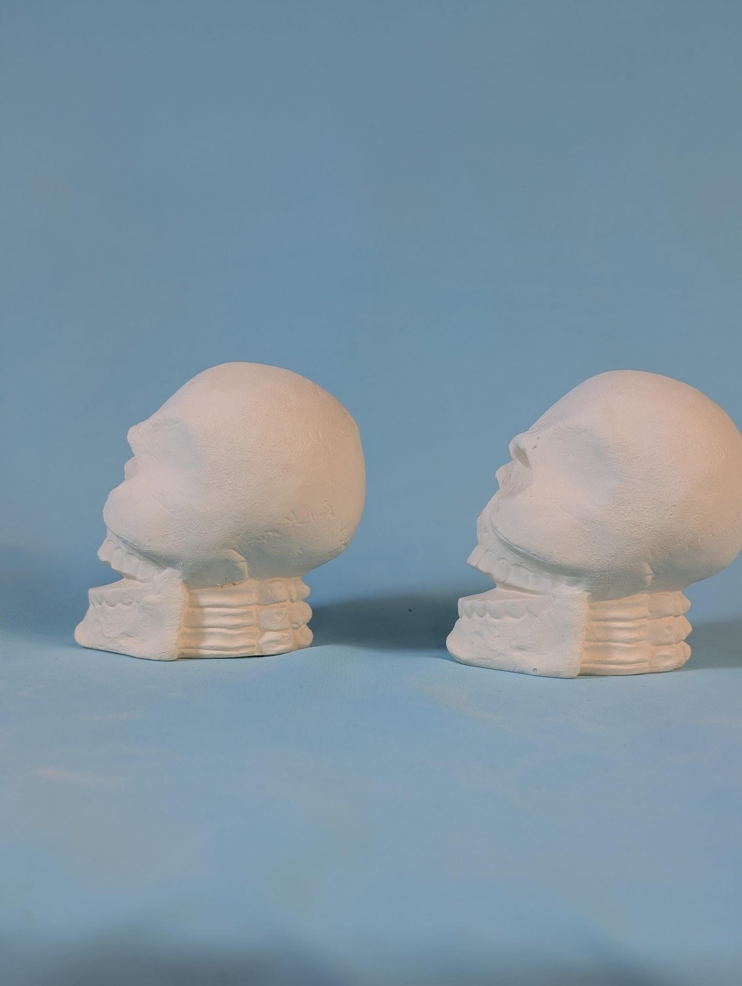 Paintable Cute Angry Skull Designs in Ceramic Bisque - DIY Art Project