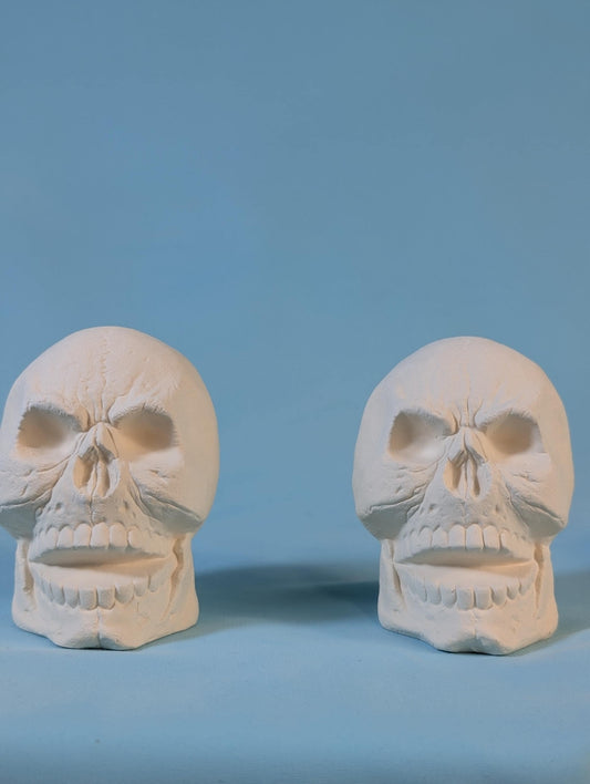 Paintable Cute Angry Skull Designs in Ceramic Bisque - DIY Art Project