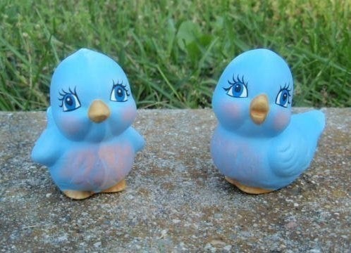 Blue Bird Couple