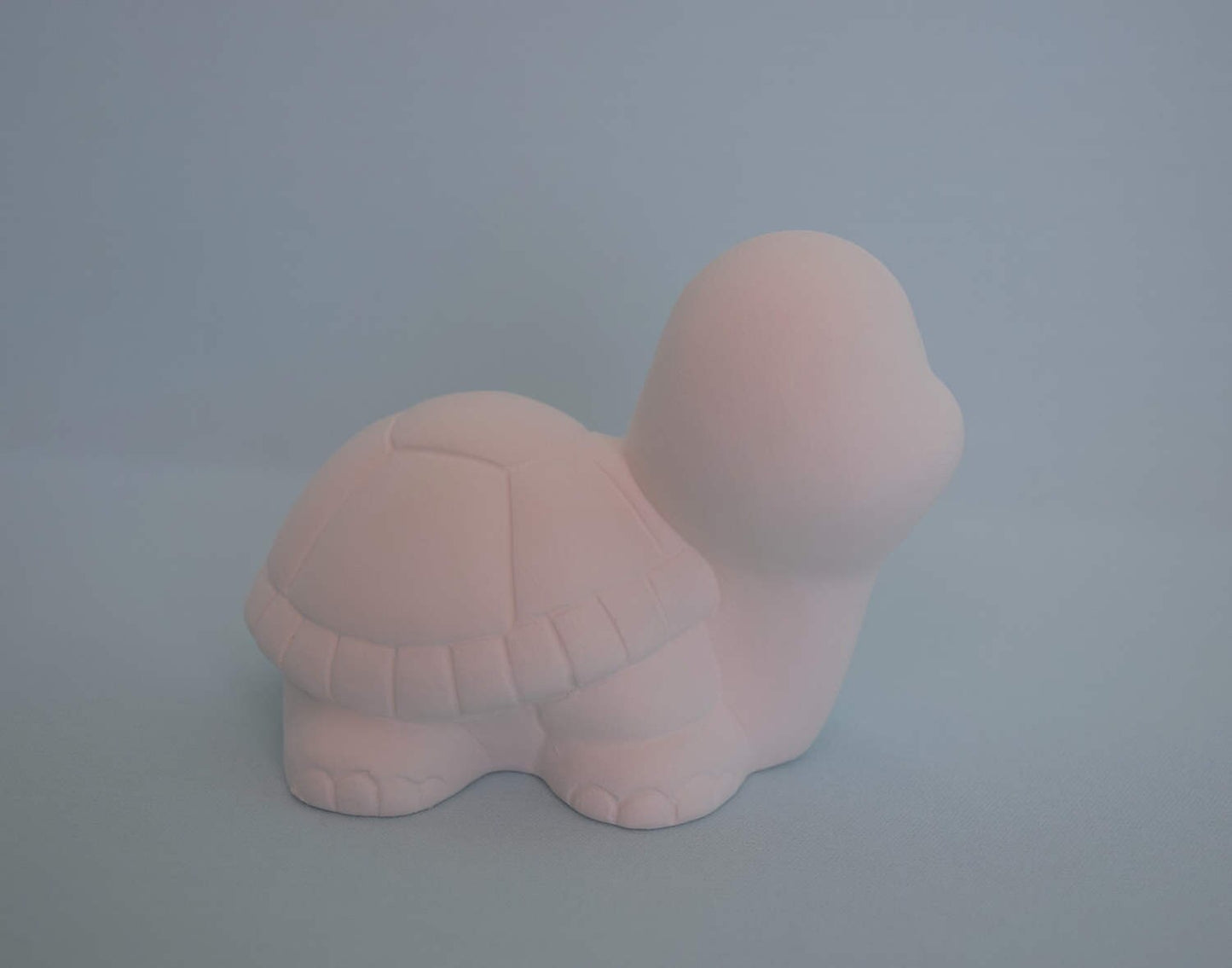 DIY Ceramic Baby Turtle Painting Kit - Unfinished Pottery Art Project for Kids & Adults