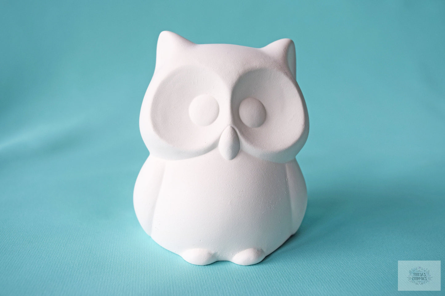 DIY Bisque Owl Painting Kit - Back to School Art Project Box for Kids & Adults - Ceramic Craft Gift