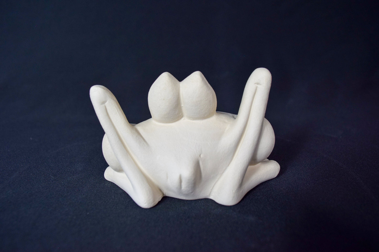 DIY Unpainted Ceramic Frog Figurine - Paint Party Kit for Kids, Garden Decor, Yard Art Sculpture