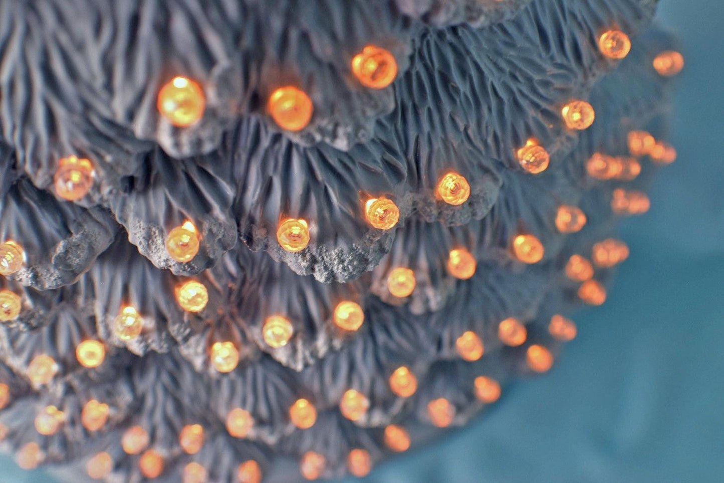 Snowy Christmas Tree | Large Ceramic Light | Windowsill Style - Teresa&#39;s Ceramics