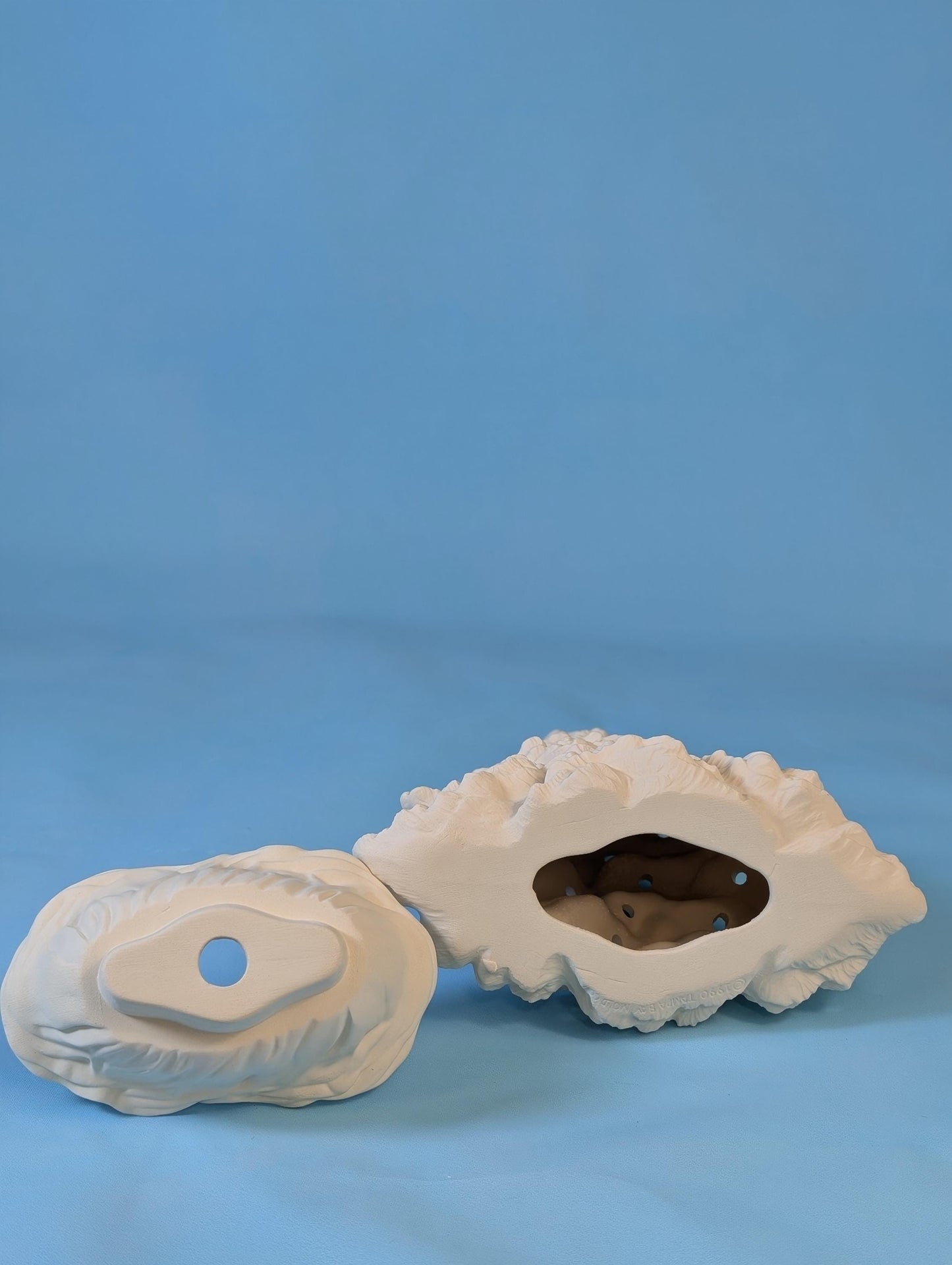 9.75 inch Tampa Bay Ceramic Christmas Tree - Multicolor Lights Low Profile Bluegrass Holiday Decoration