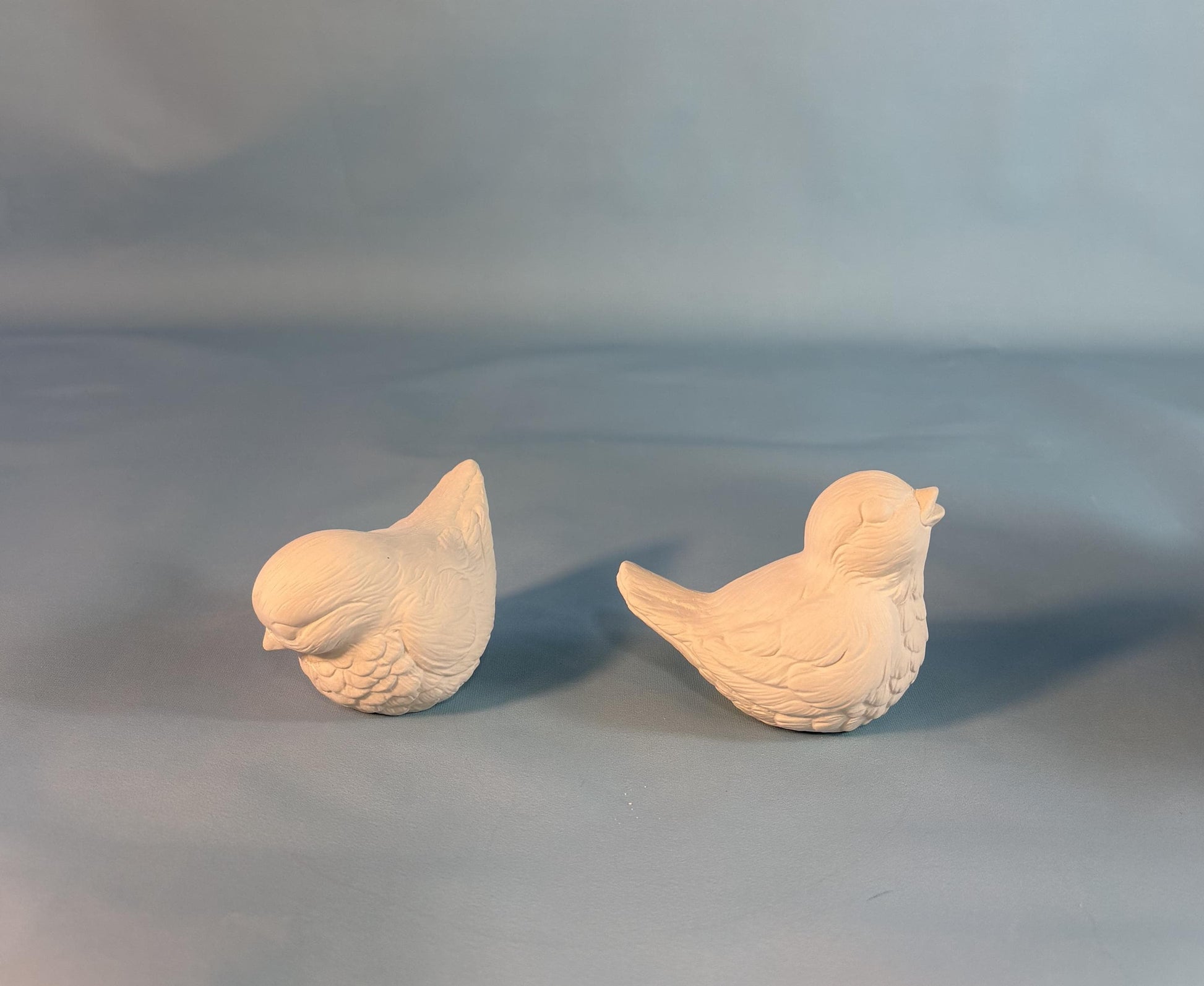 Bisque ready to paint Bird couple - Ceramic Project - Paint it yourself - DIY ceramics - Teresa's Ceramics