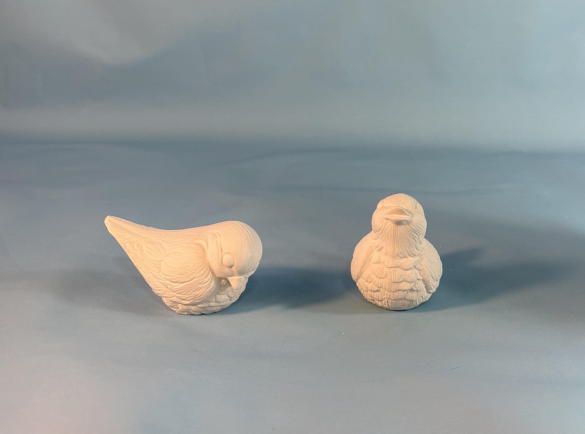 Bisque ready to paint Bird couple - Ceramic Project - Paint it yourself - DIY ceramics - Teresa's Ceramics