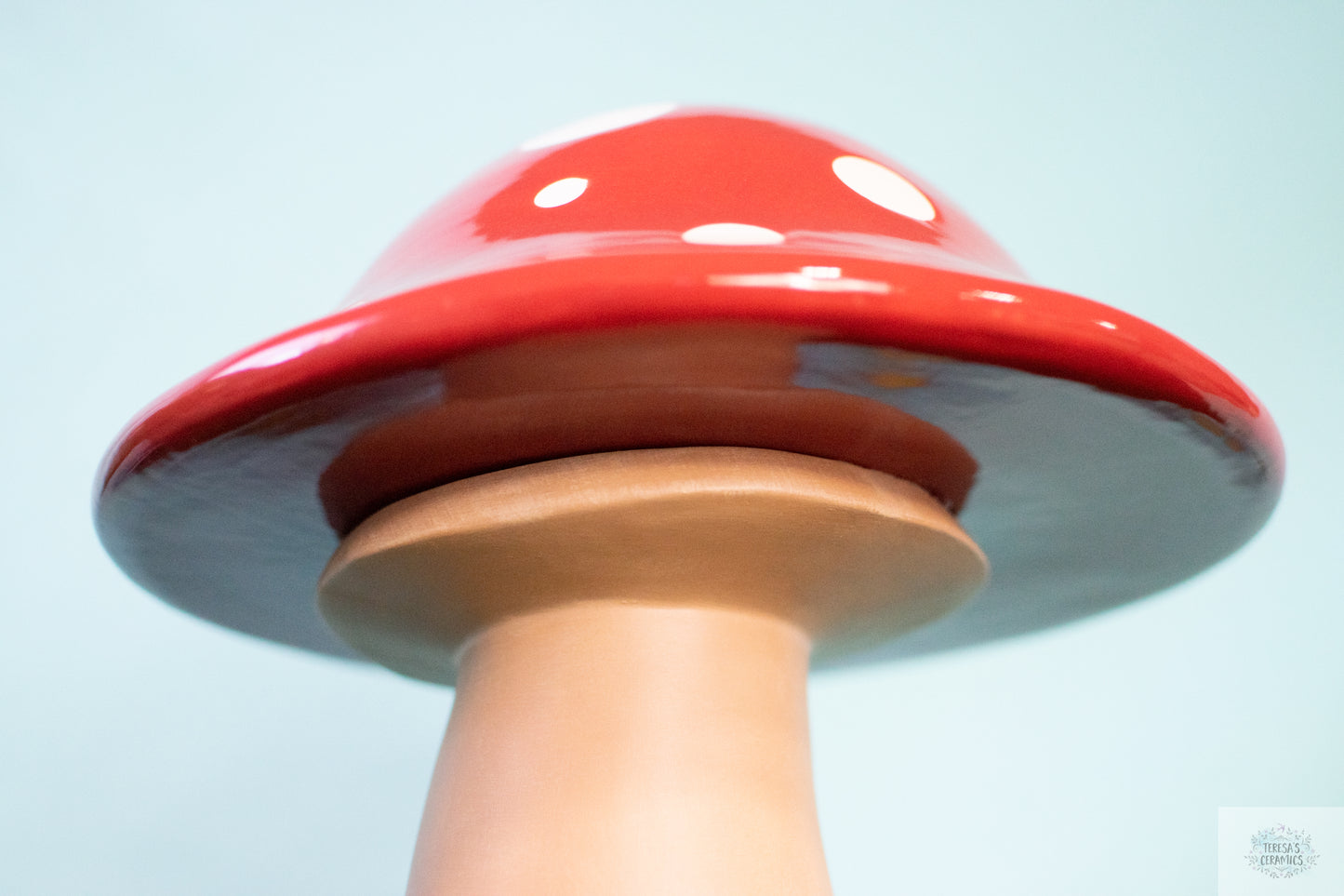 Gigantic Mushrooms | XL and Large Garden Mushrooms