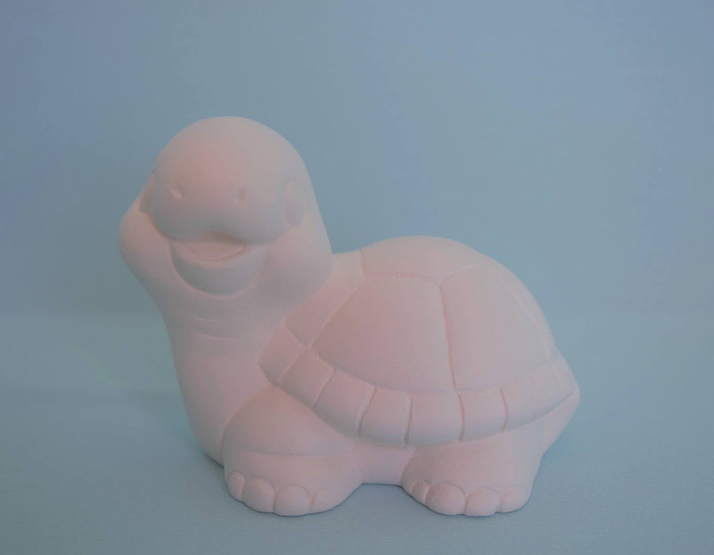 Bisque Turtle | DIY Paint Project